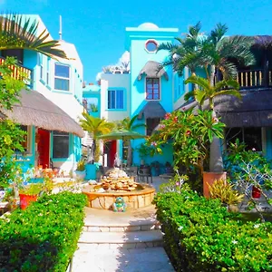 casa-gatos.allrivieramayahotels.com/